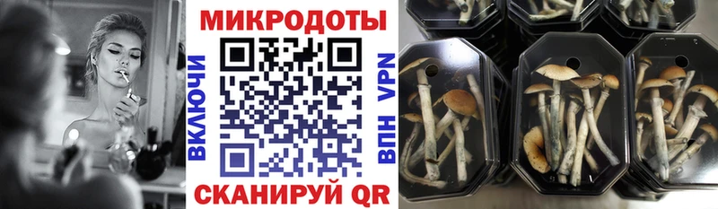 Галлюциногенные грибы мухоморы  Пудож 